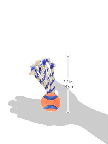 Chuckit! Ultra Tug Dog Toy, Small Fetch and Dog Ball Tug Toy for Dogs 0-20 Pounds