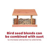Kaytee All American Wild Bird Food Seed Blend, 5 Pound