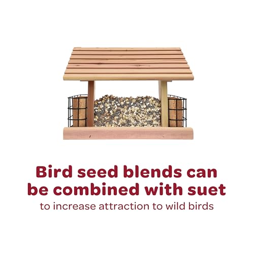 Kaytee All American Wild Bird Food Seed Blend, 5 Pound