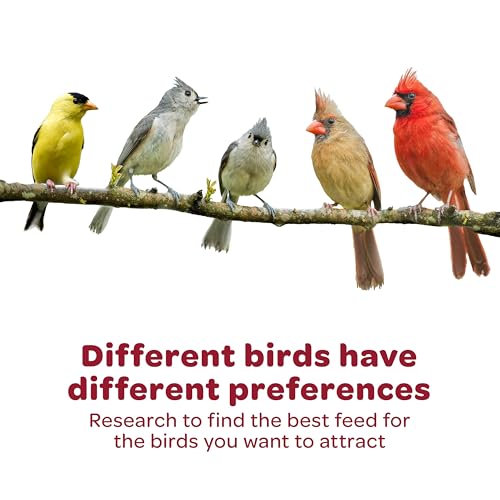 Kaytee All American Wild Bird Food Seed Blend, 5 Pound