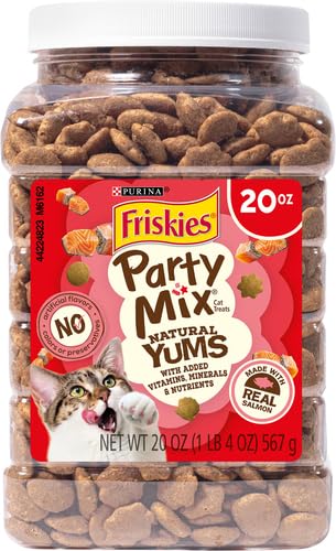 Purina Friskies Natural Cat Treats, Party Mix Natural Yums With Real Salmon and Vitamins, Minerals & Nutrients - (Pack of 10) 2.1 Oz. Pouches