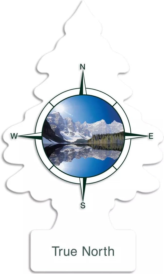 Little Trees Car Freshener New Car Scent (24 Pack)