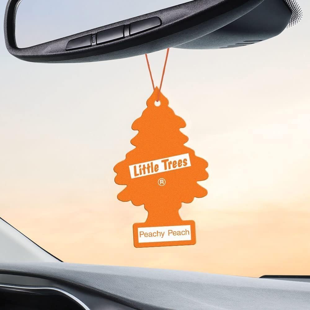 Little Trees Car Freshener New Car Scent (24 Pack)
