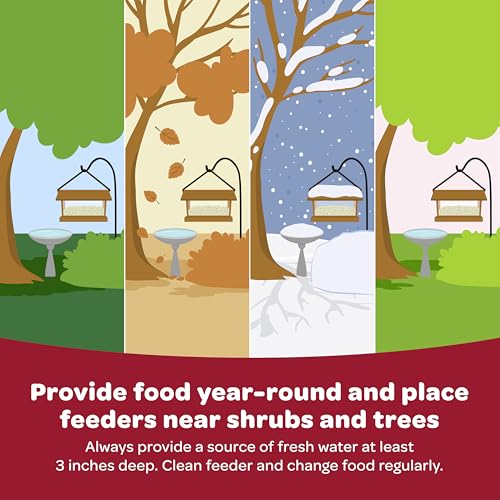 Kaytee All American Wild Bird Food Seed Blend, 5 Pound