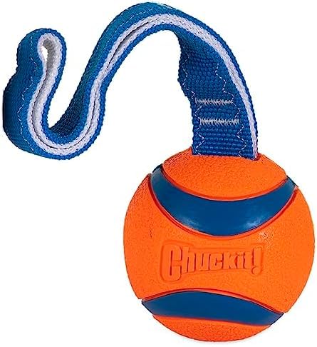 Chuckit! Ultra Tug Dog Toy, Small Fetch and Dog Ball Tug Toy for Dogs 0-20 Pounds