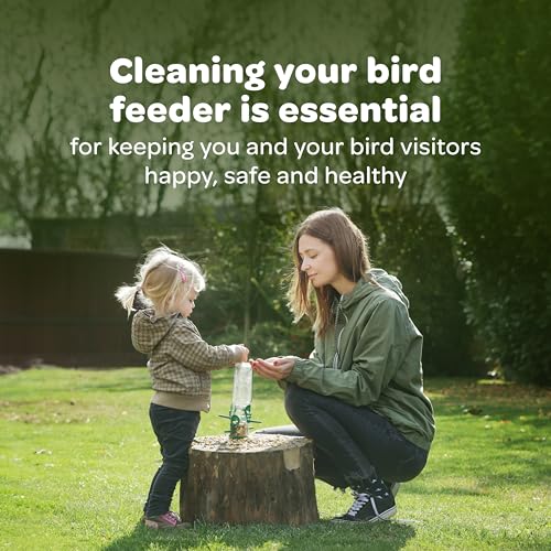 Kaytee All American Wild Bird Food Seed Blend, 5 Pound