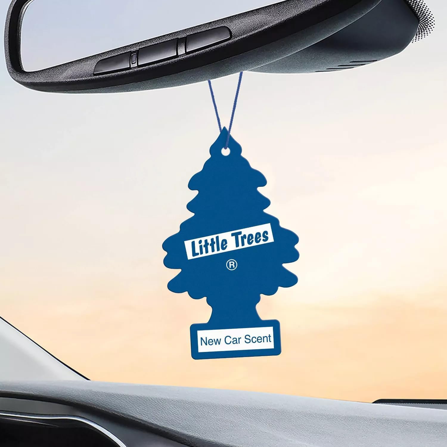 Little Trees Car Freshener New Car Scent (24 Pack)