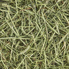 Kaytee Timothy Hay, High Fiber, Grown Specifically for Small Animals, Rabbits, Guinea Pigs, Chinchillas, Ideal Bulk Order for Small Pets, 12 pounds