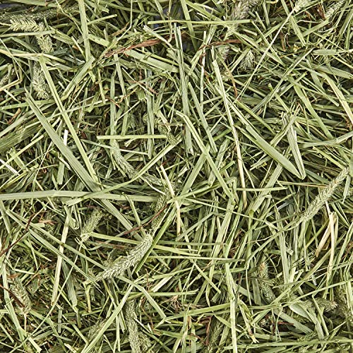 Kaytee Timothy Hay, High Fiber, Grown Specifically for Small Animals, Rabbits, Guinea Pigs, Chinchillas, Ideal Bulk Order for Small Pets, 12 pounds
