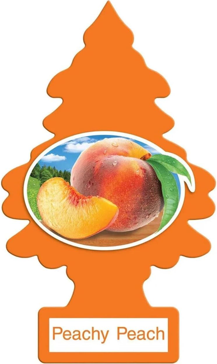 Little Trees Car Freshener New Car Scent (24 Pack)