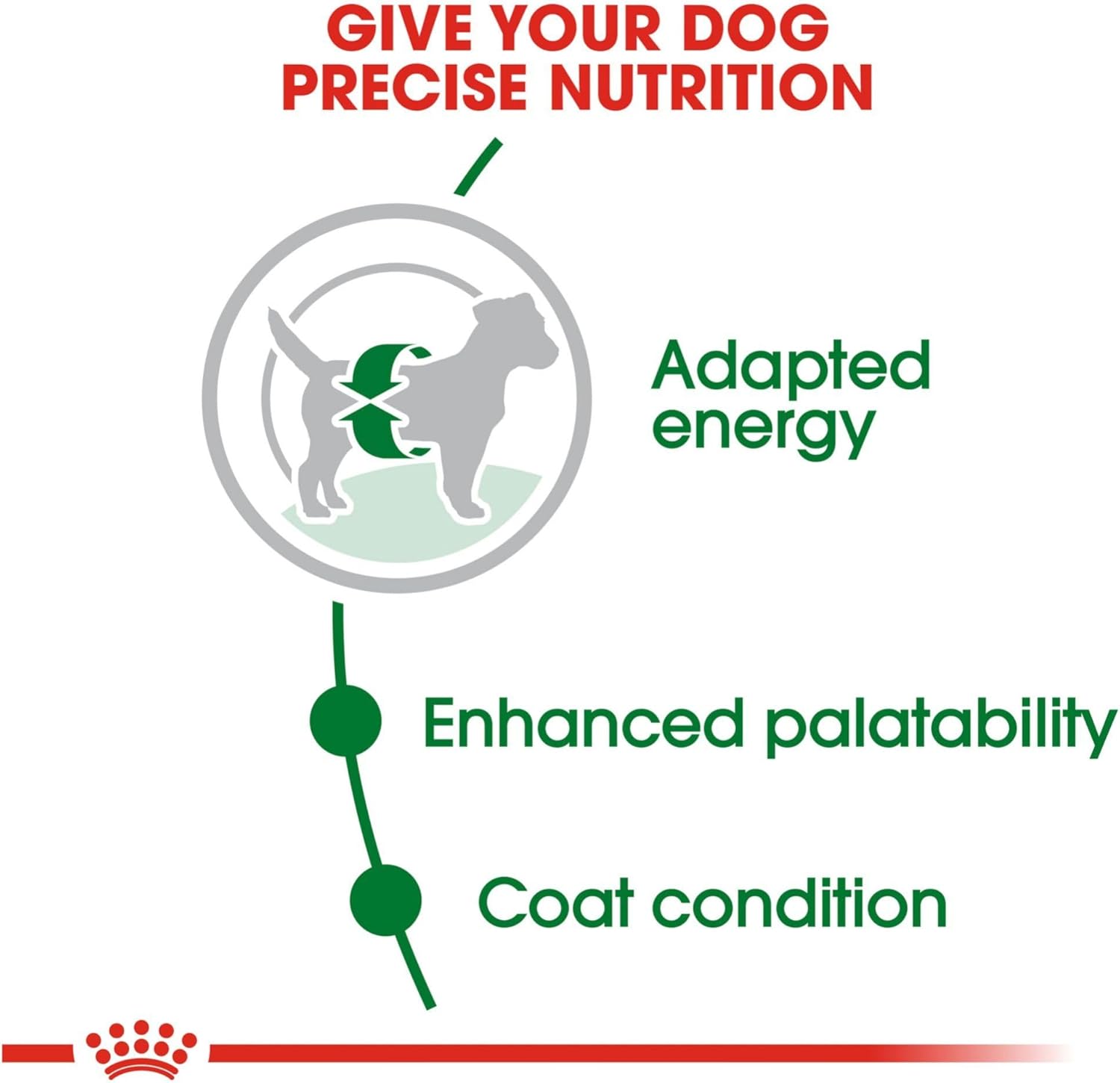 Royal Canin Size Health Nutrition Small Adult Dry Dog Food, 14 lb Bag