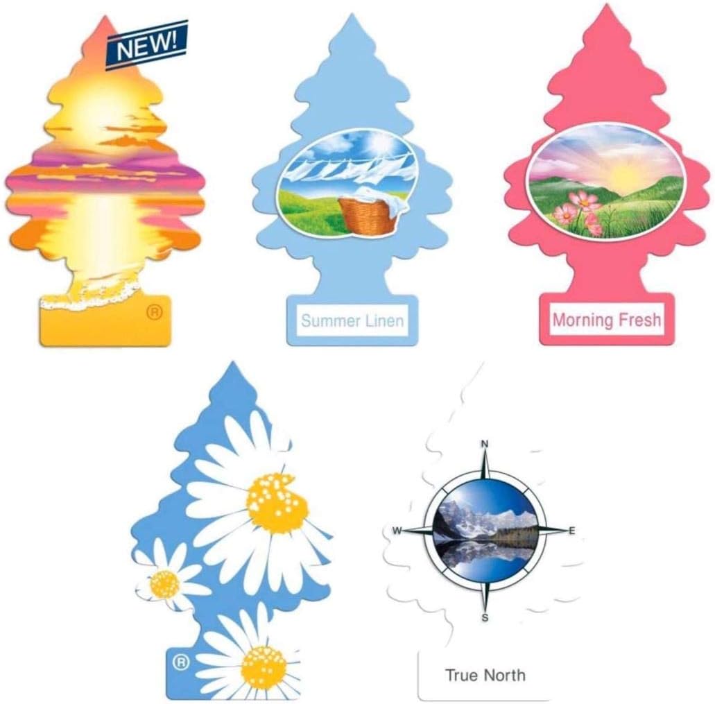 Little Trees Car Freshener New Car Scent (24 Pack)