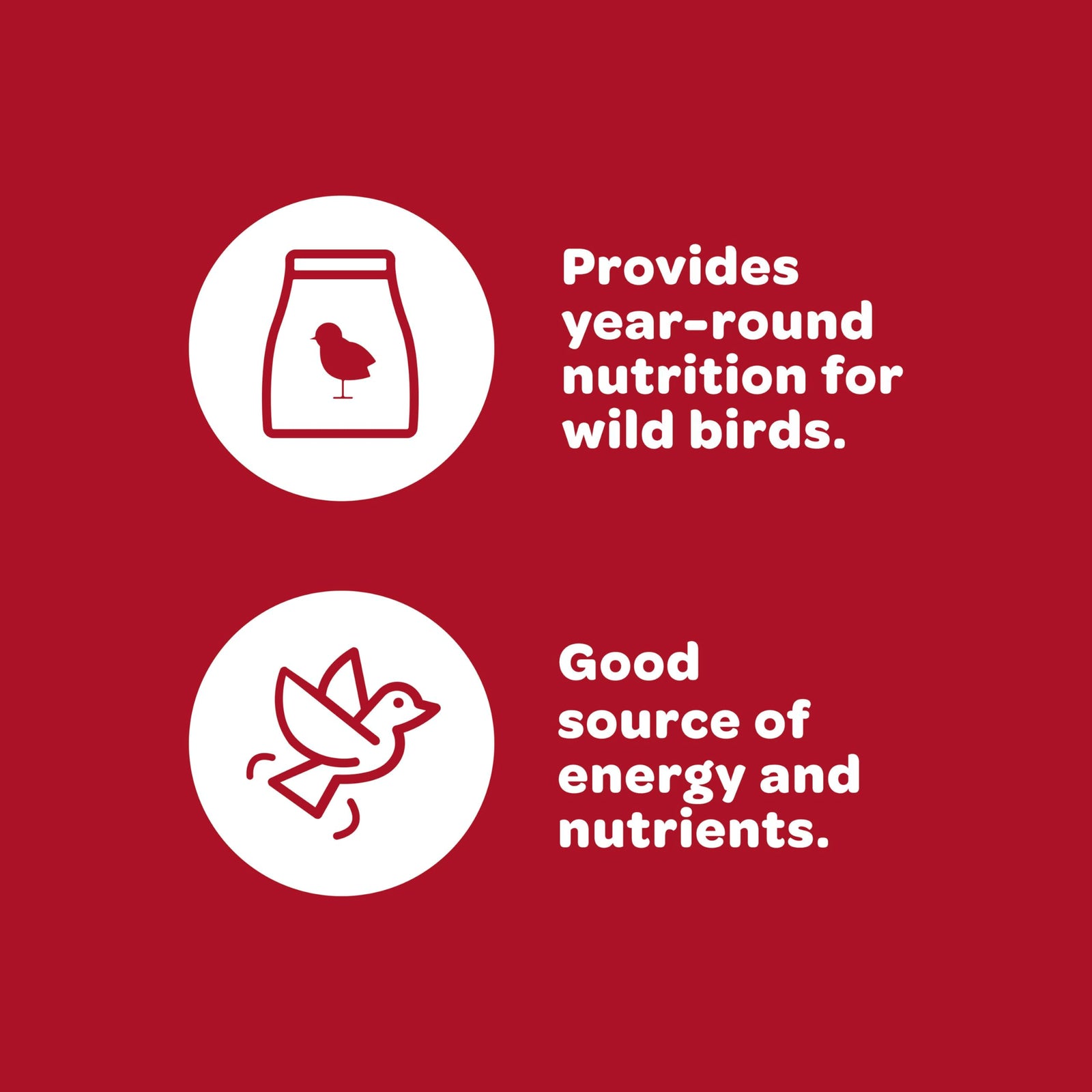 Kaytee All American Wild Bird Food Seed Blend, 5 Pound