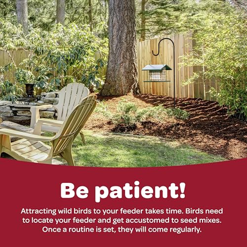 Kaytee All American Wild Bird Food Seed Blend, 5 Pound