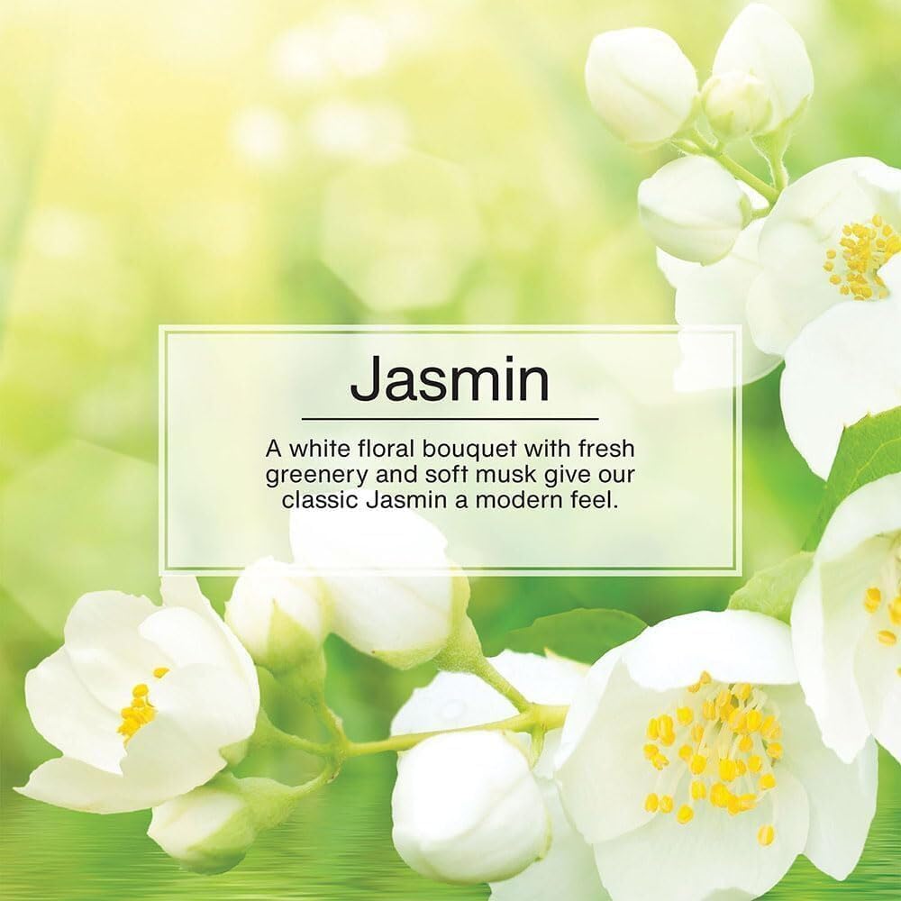 Little Trees Car Freshener New Car Scent (24 Pack)