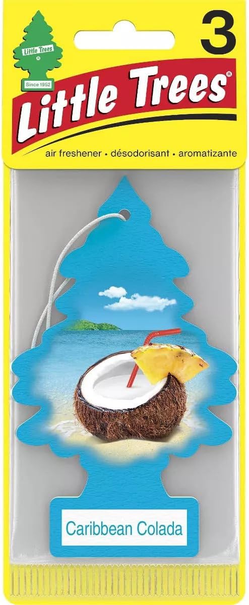 Little Trees Car Freshener New Car Scent (24 Pack)