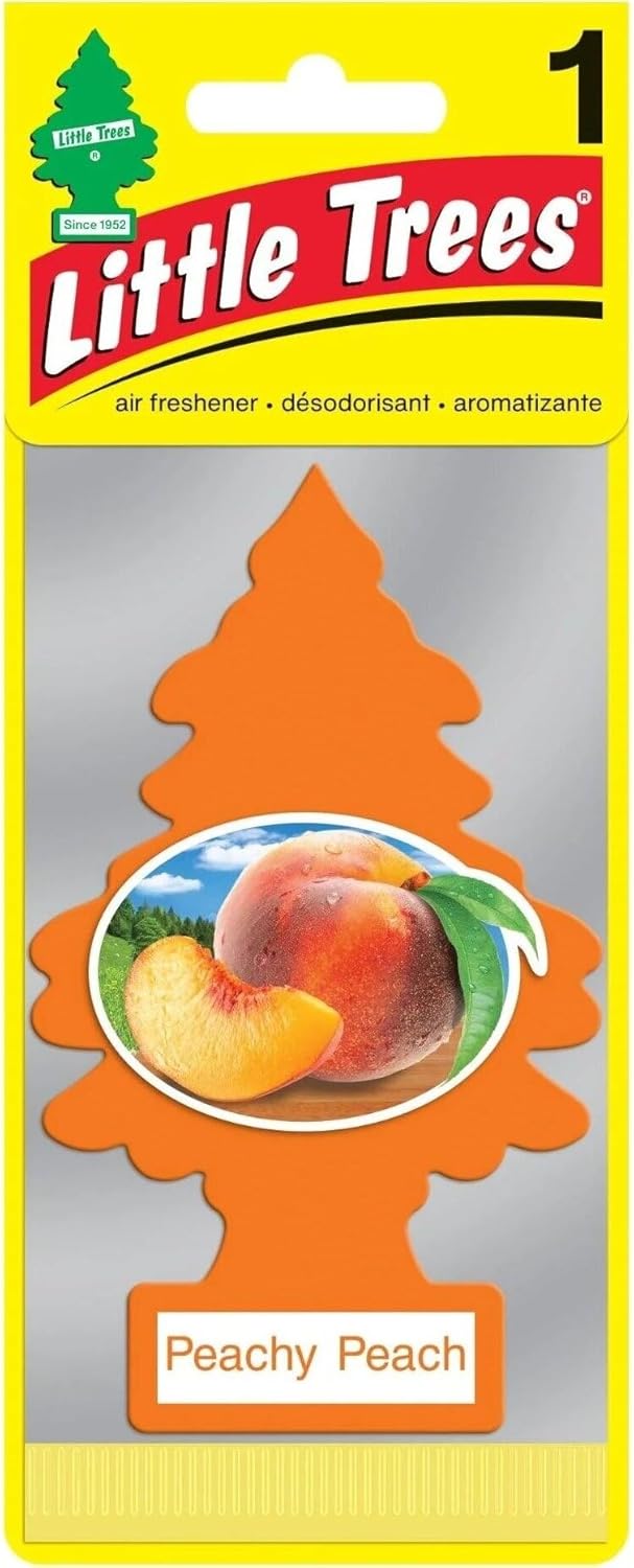 Little Trees Car Freshener New Car Scent (24 Pack)