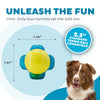 Outward Hound Squeaker Ballz 4-Pack Tennis Ball Dog Toys with Squeaker, Interactive Fetch Play for Pets Under 25 lbs, Training Balls for Indoor & Outdoor Exercise, Small, 2-inch