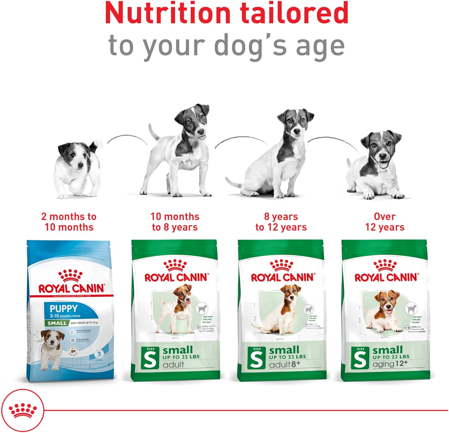 Royal Canin Size Health Nutrition Small Adult Dry Dog Food, 14 lb Bag