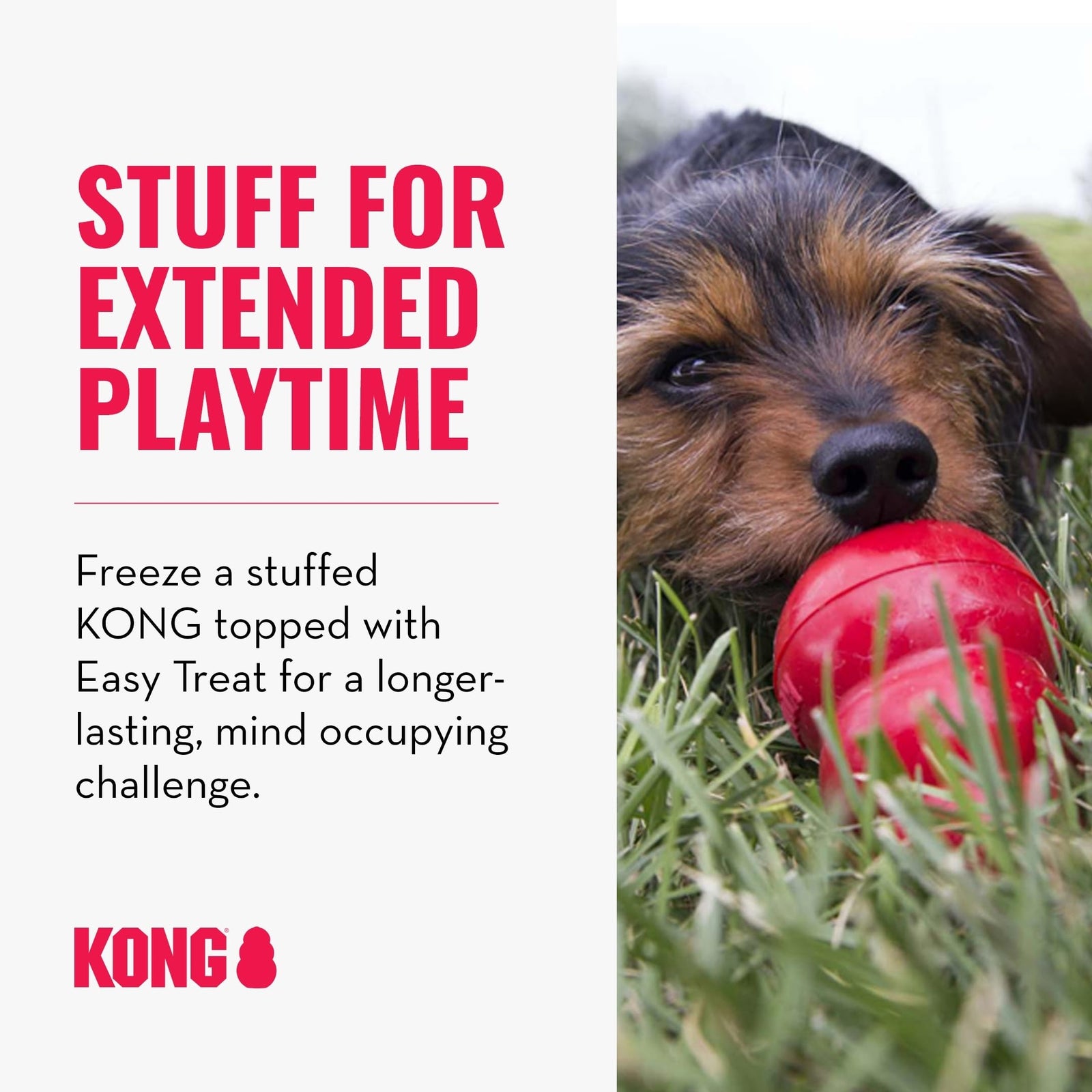 KONG - Easy Treat - Dog Treat Paste - Peanut Butter - 8 Ounce