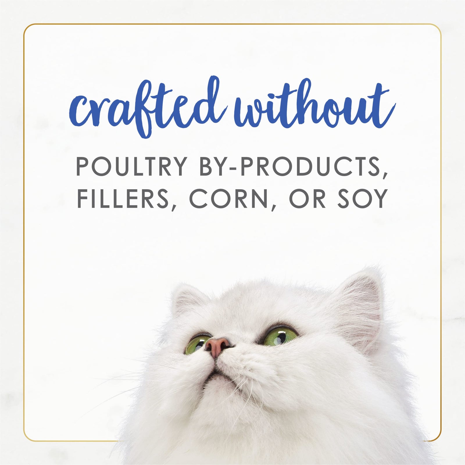 Purina Fancy Feast Gravy Lovers Poultry and Beef Grilled Gourmet Wet Cat Food Variety Pack - (Pack of 24) 3 oz. Cans