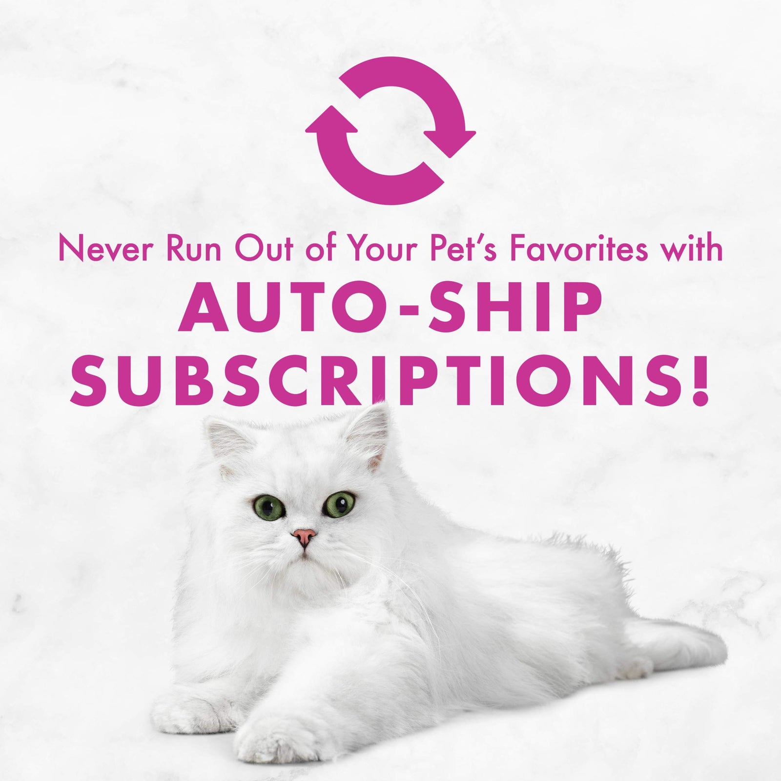 Purina Fancy Feast Gravy Lovers Poultry and Beef Grilled Gourmet Wet Cat Food Variety Pack - (Pack of 24) 3 oz. Cans