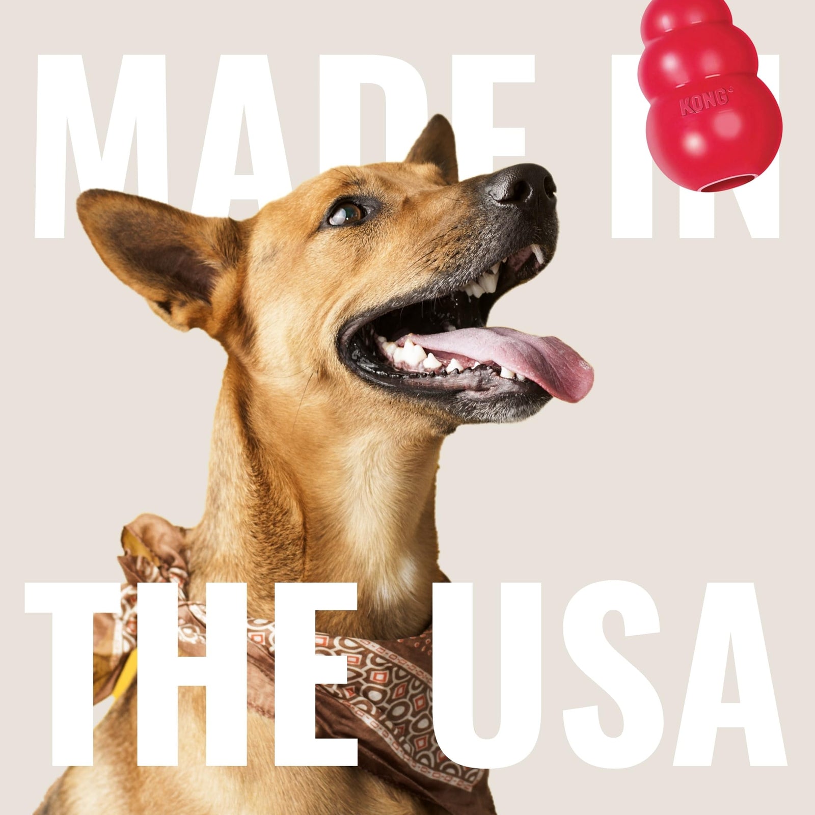 KONG - Easy Treat - Dog Treat Paste - Peanut Butter - 8 Ounce