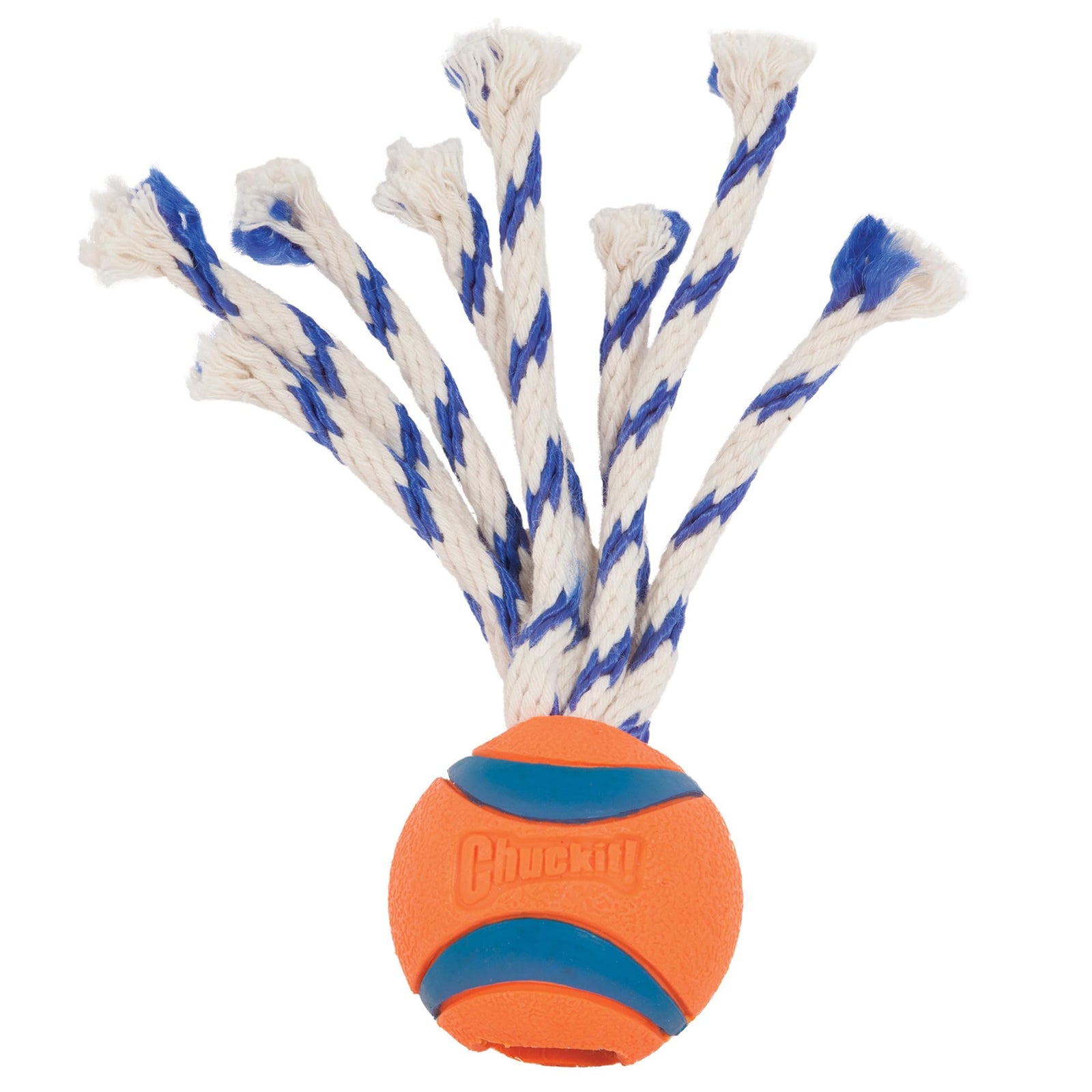 Chuckit! Ultra Tug Dog Toy, Small Fetch and Dog Ball Tug Toy for Dogs 0-20 Pounds
