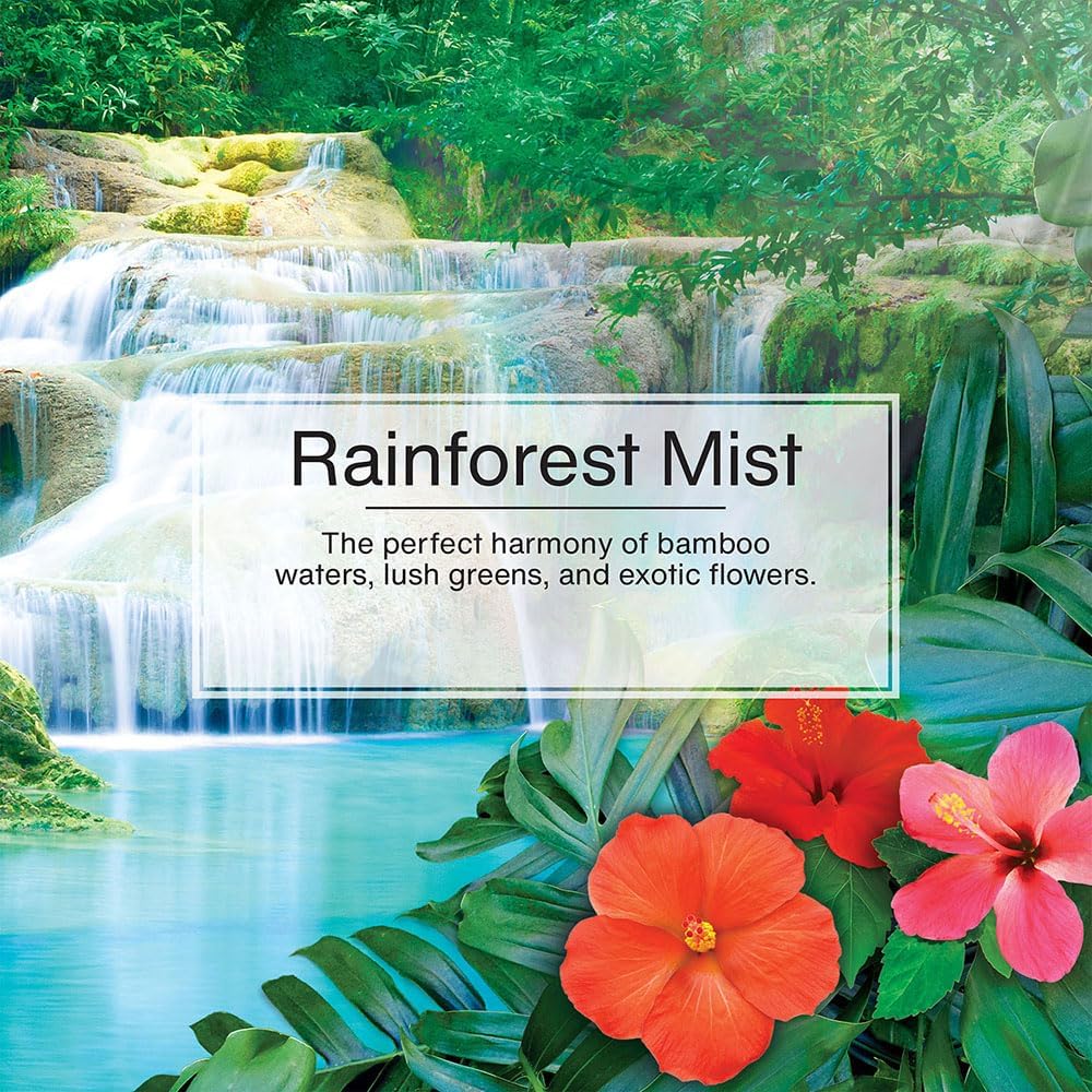 Little Trees Car Freshener New Car Scent (24 Pack)