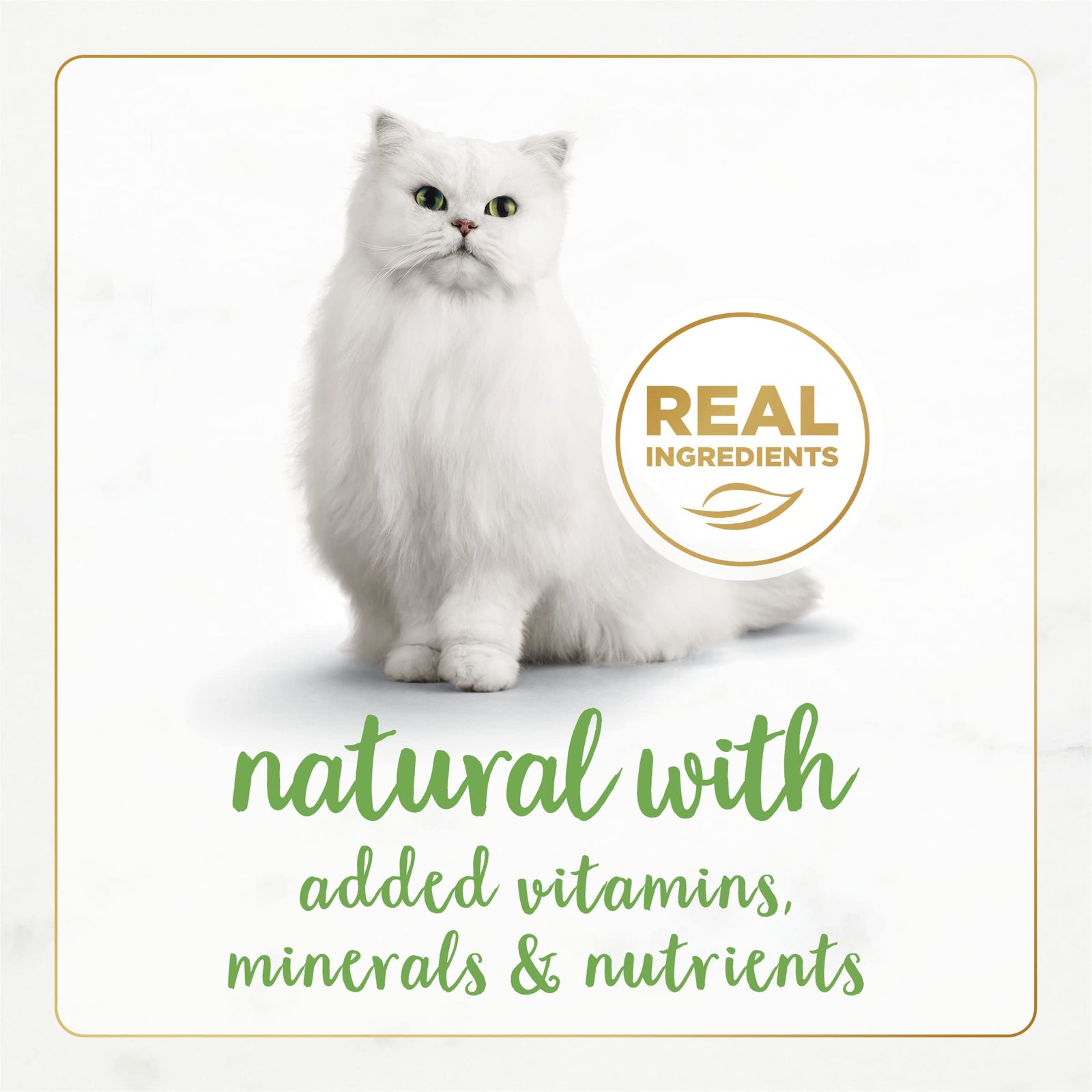 Purina Fancy Feast Gravy Lovers Poultry and Beef Grilled Gourmet Wet Cat Food Variety Pack - (Pack of 24) 3 oz. Cans