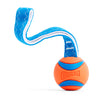 Chuckit! Ultra Tug Dog Toy, Small Fetch and Dog Ball Tug Toy for Dogs 0-20 Pounds