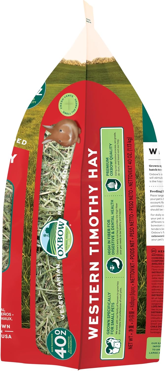 Oxbow Western Timothy Hay, Guinea Pig Hay, Small Pet Bunny Supplies, All Natural Grass for Guinea Pig, Bunny, Chinchilla & Hamster, Oxbow Rabbit Supplies for Bunnies, 90 oz. bag