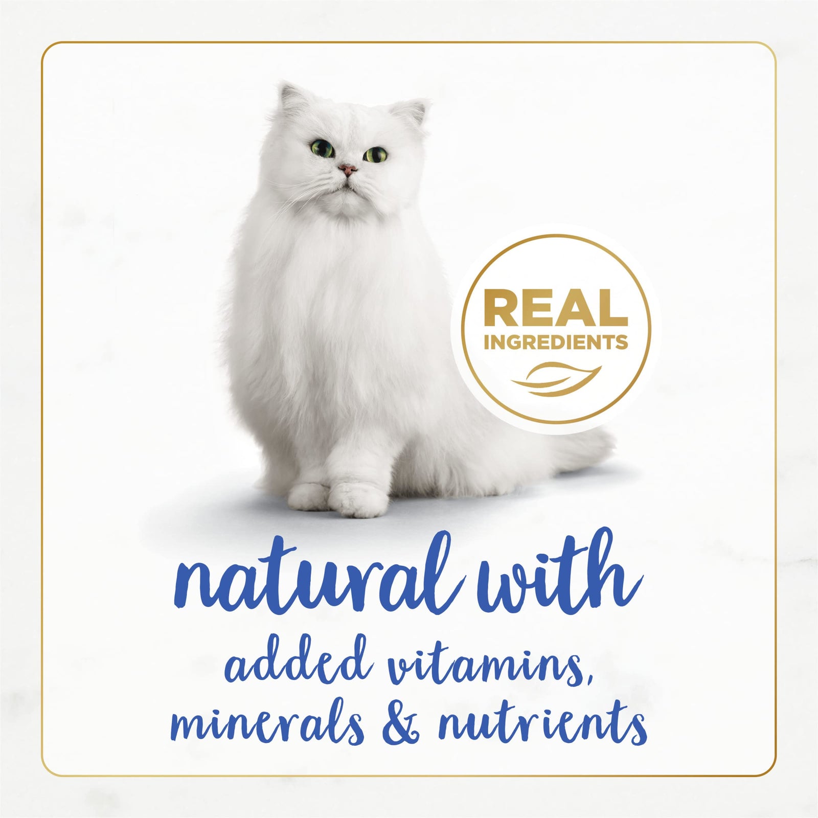 Purina Fancy Feast Gravy Lovers Poultry and Beef Grilled Gourmet Wet Cat Food Variety Pack - (Pack of 24) 3 oz. Cans