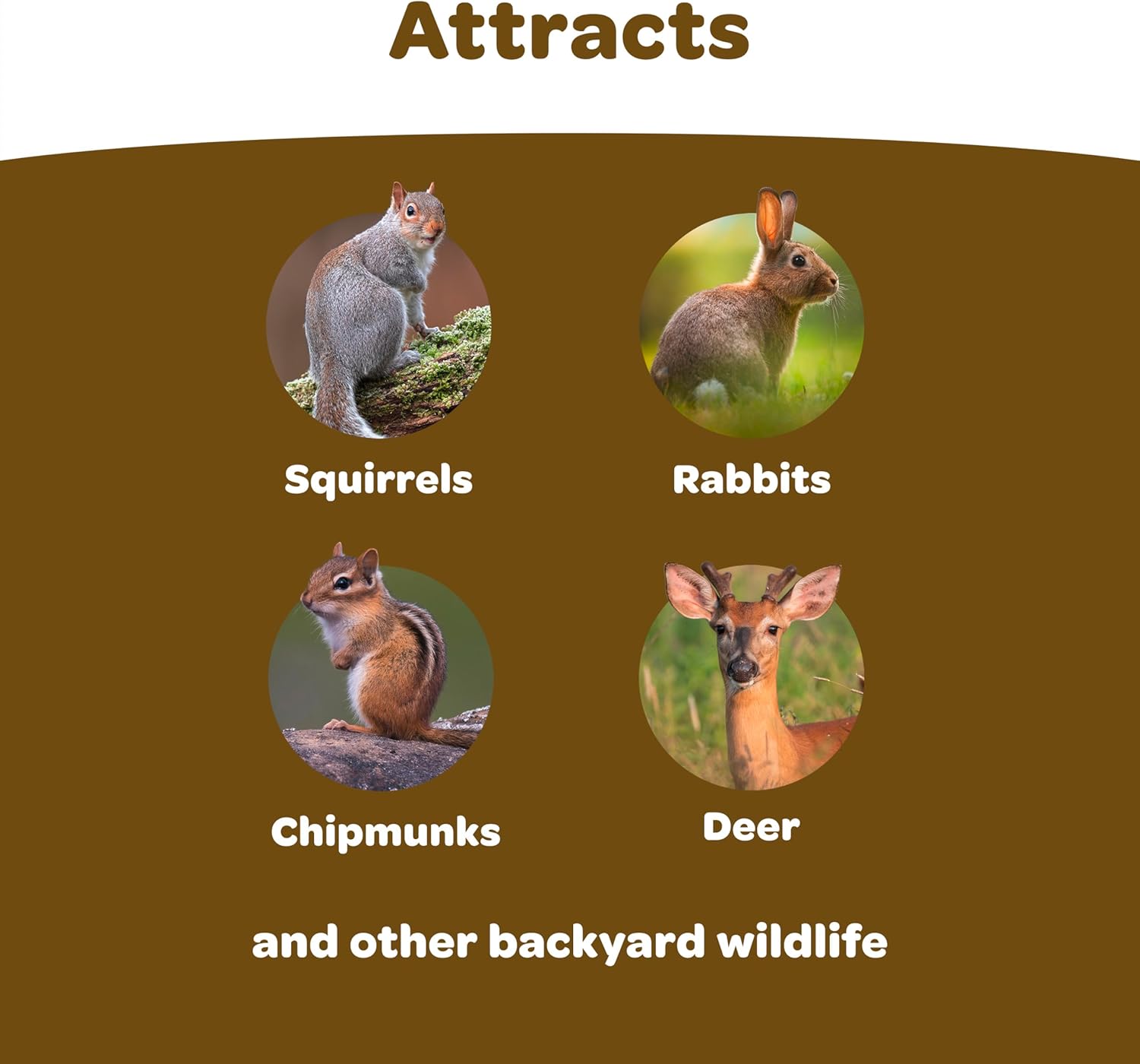 Kaytee Wildlife Food, for Squirrels Chipmunks Rabbits, 5 Pound | Pack of 2