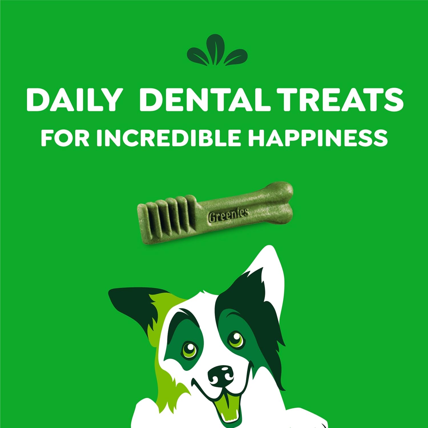 Greenies Veterinarian-Recommended Adult Natural Dental Dog Treats Regular Size, Original Flavor, 3 oz. Pack, 3 Count