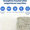 PetSafe ScoopFree Disposable Crystal Cat Litter Tray - Easy Cleaning Box - Refill Tray for Electric Litter Box - Fragrance Free - 4.3 lb Bags - 6 Pack