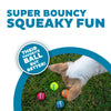 Outward Hound Squeaker Ballz 4-Pack Tennis Ball Dog Toys with Squeaker, Interactive Fetch Play for Pets Under 25 lbs, Training Balls for Indoor & Outdoor Exercise, Small, 2-inch