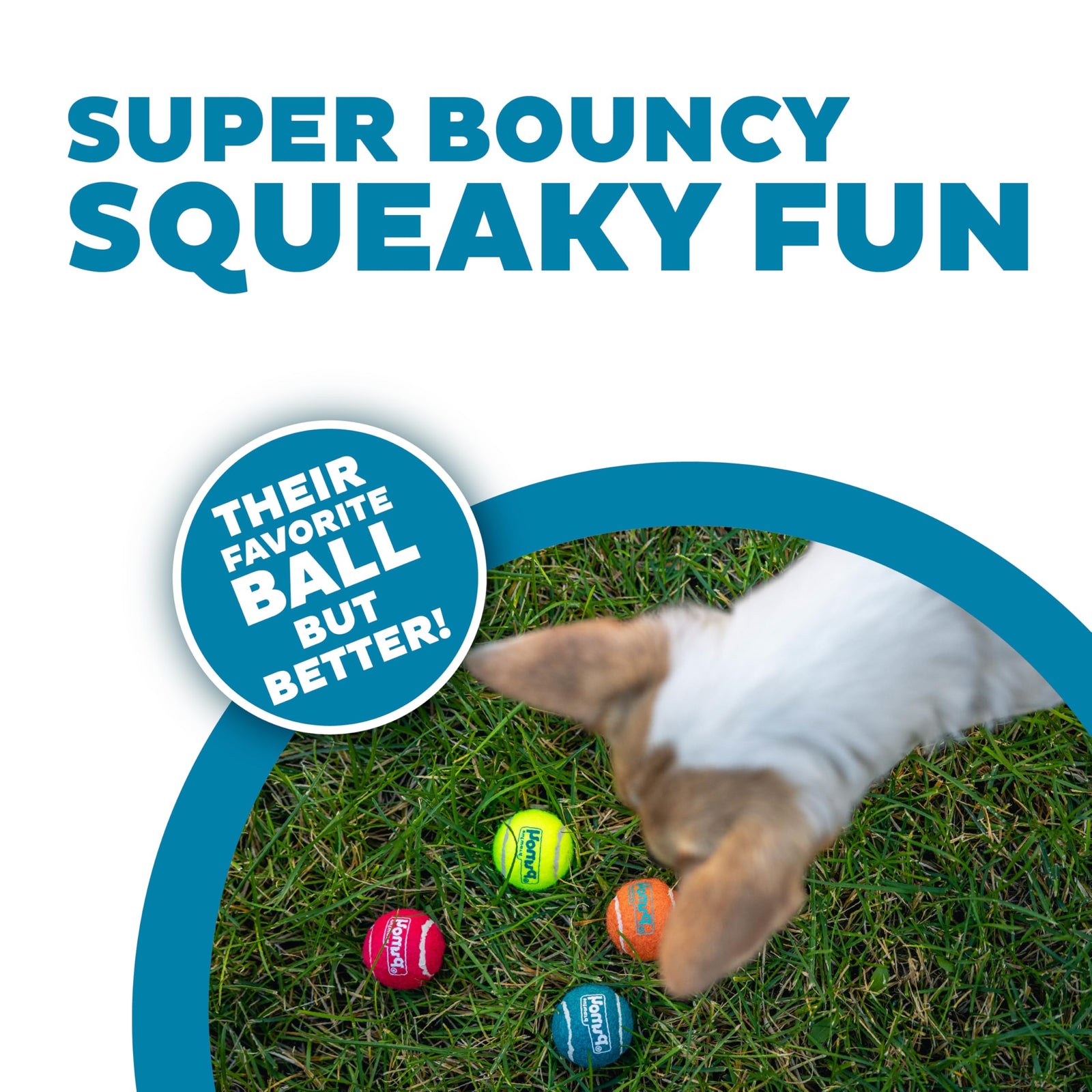 Outward Hound Squeaker Ballz 4-Pack Tennis Ball Dog Toys with Squeaker, Interactive Fetch Play for Pets Under 25 lbs, Training Balls for Indoor & Outdoor Exercise, Small, 2-inch