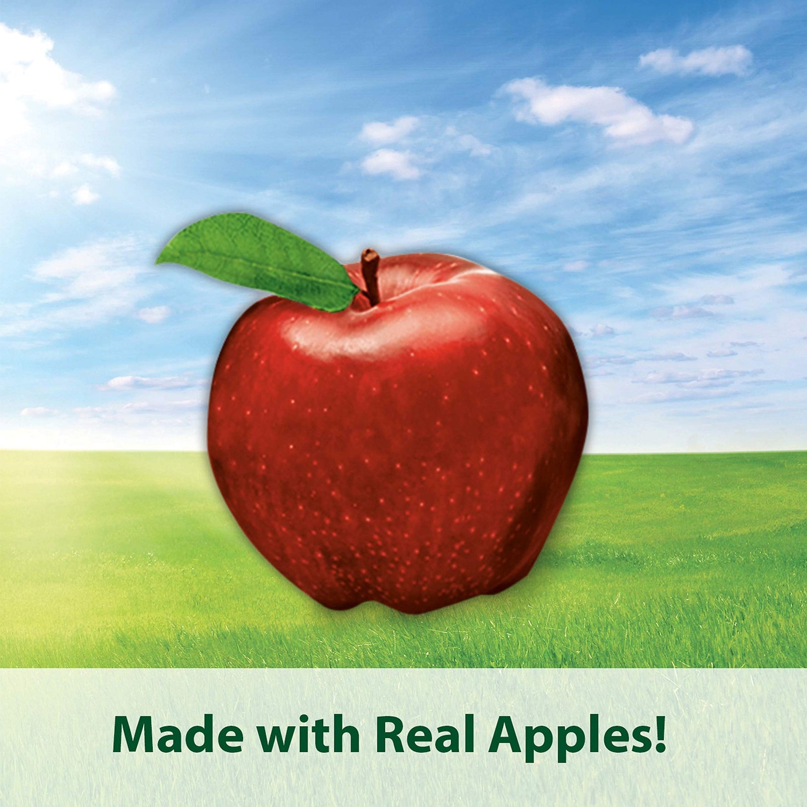 Kaytee Timothy Biscuits, Apple, for Guinea Pigs & Rabbits | Baked Treat | 4 oz | Pack of 2 | Small Animals