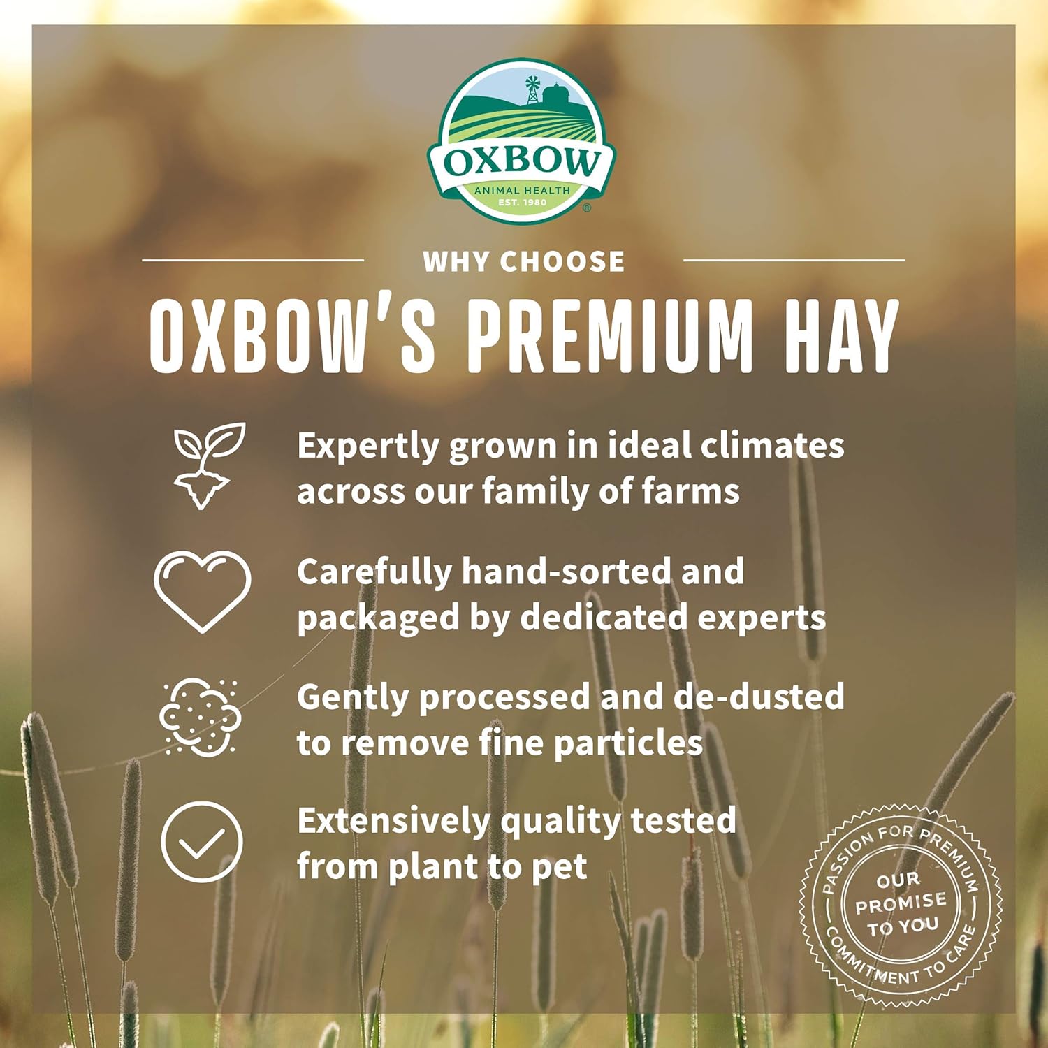 Oxbow Western Timothy Hay, Guinea Pig Hay, Small Pet Bunny Supplies, All Natural Grass for Guinea Pig, Bunny, Chinchilla & Hamster, Oxbow Rabbit Supplies for Bunnies, 90 oz. bag