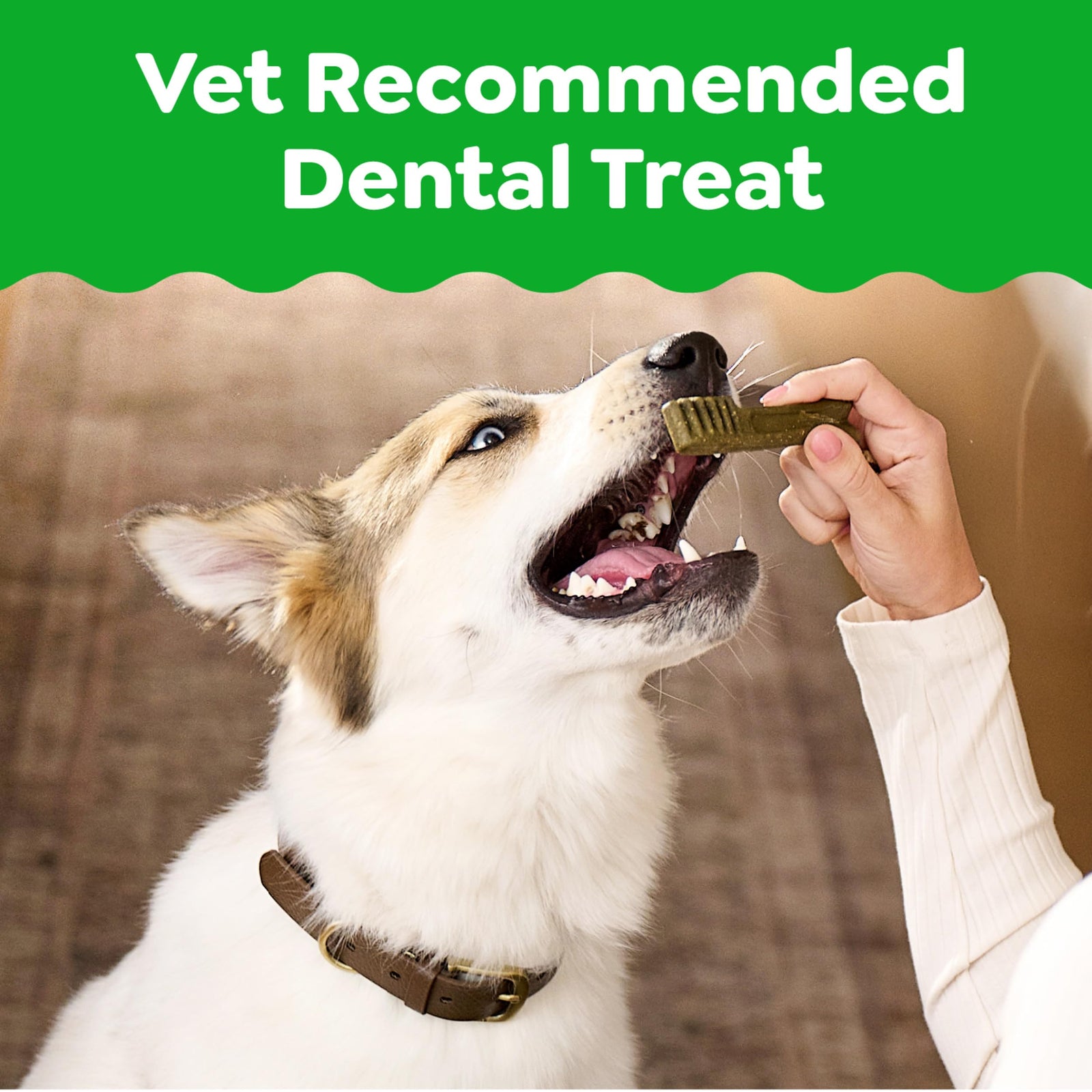 Greenies Veterinarian-Recommended Natural Dental Dog Treats Regular Size, Original Flavor, 54 oz. Pack, 192 Count