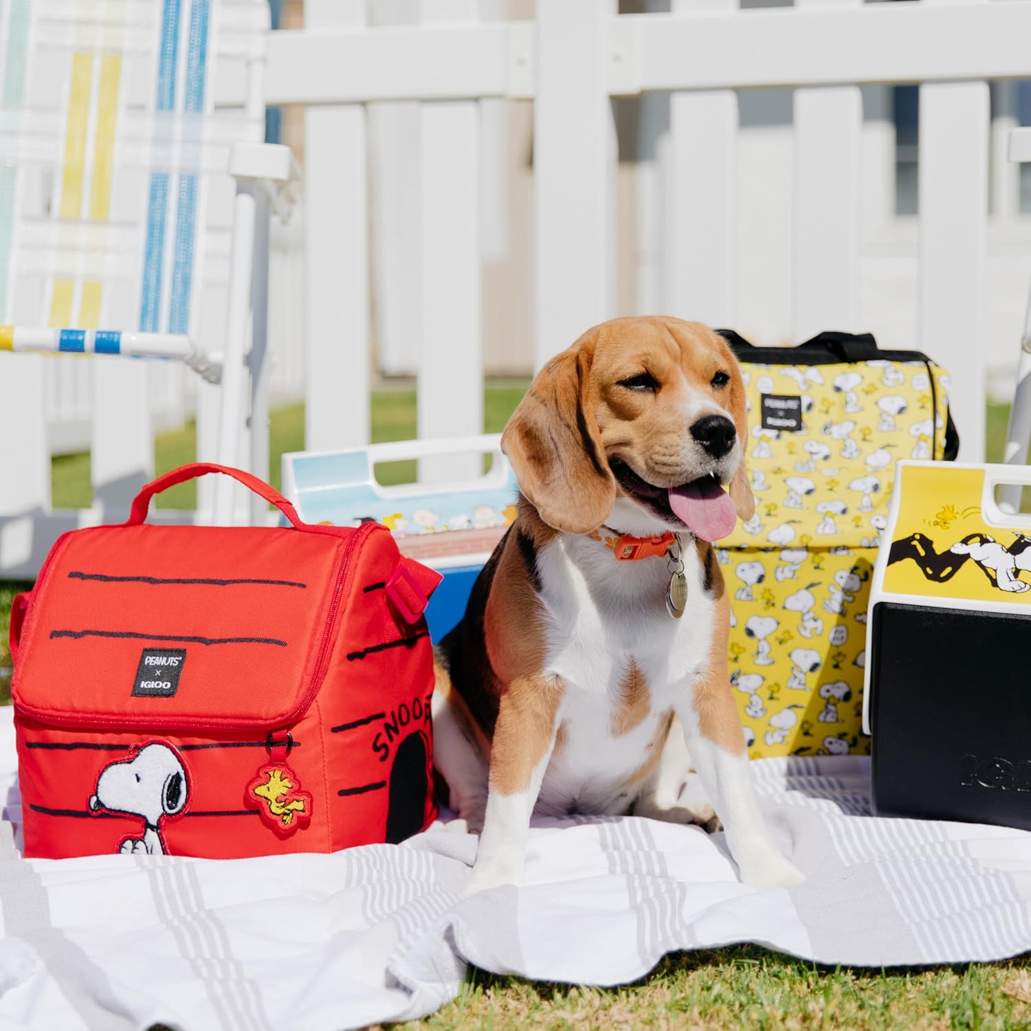 Igloo Snoopy’s House 16-Can Lunch Pail