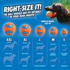 Chuckit! Ultra Ball & Launcher Bundle - Classic 26" with 2 Pack Medium (2.5") Bouncy Fetch Balls for Dogs 20-60 lbs, Dog Fetch Ball Thrower