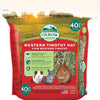 Oxbow Western Timothy Hay, Guinea Pig Hay, Small Pet Bunny Supplies, All Natural Grass for Guinea Pig, Bunny, Chinchilla & Hamster, Oxbow Rabbit Supplies for Bunnies, 90 oz. bag