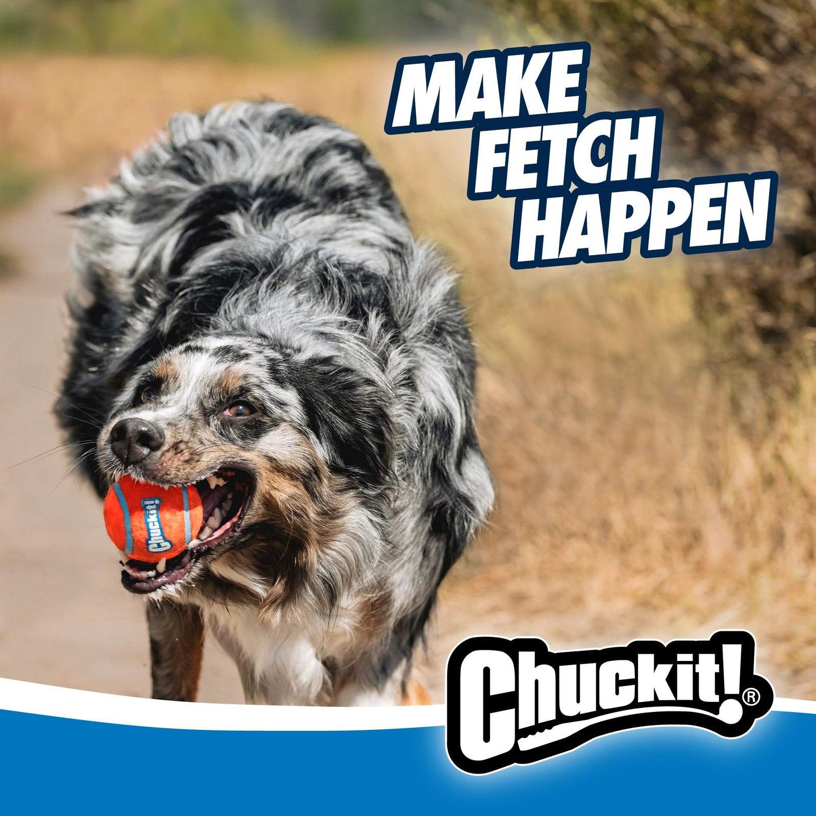 Chuckit! Ultra Ball & Launcher Bundle - Classic 26" with 2 Pack Medium (2.5") Bouncy Fetch Balls for Dogs 20-60 lbs, Dog Fetch Ball Thrower