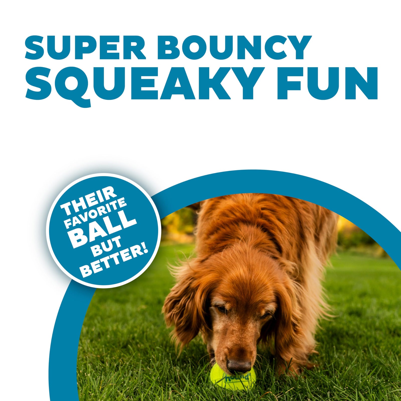 Outward Hound Squeaker Ballz 4-Pack Tennis Ball Dog Toys with Squeaker, Interactive Fetch Play for Pets Under 25 lbs, Training Balls for Indoor & Outdoor Exercise, Small, 2-inch