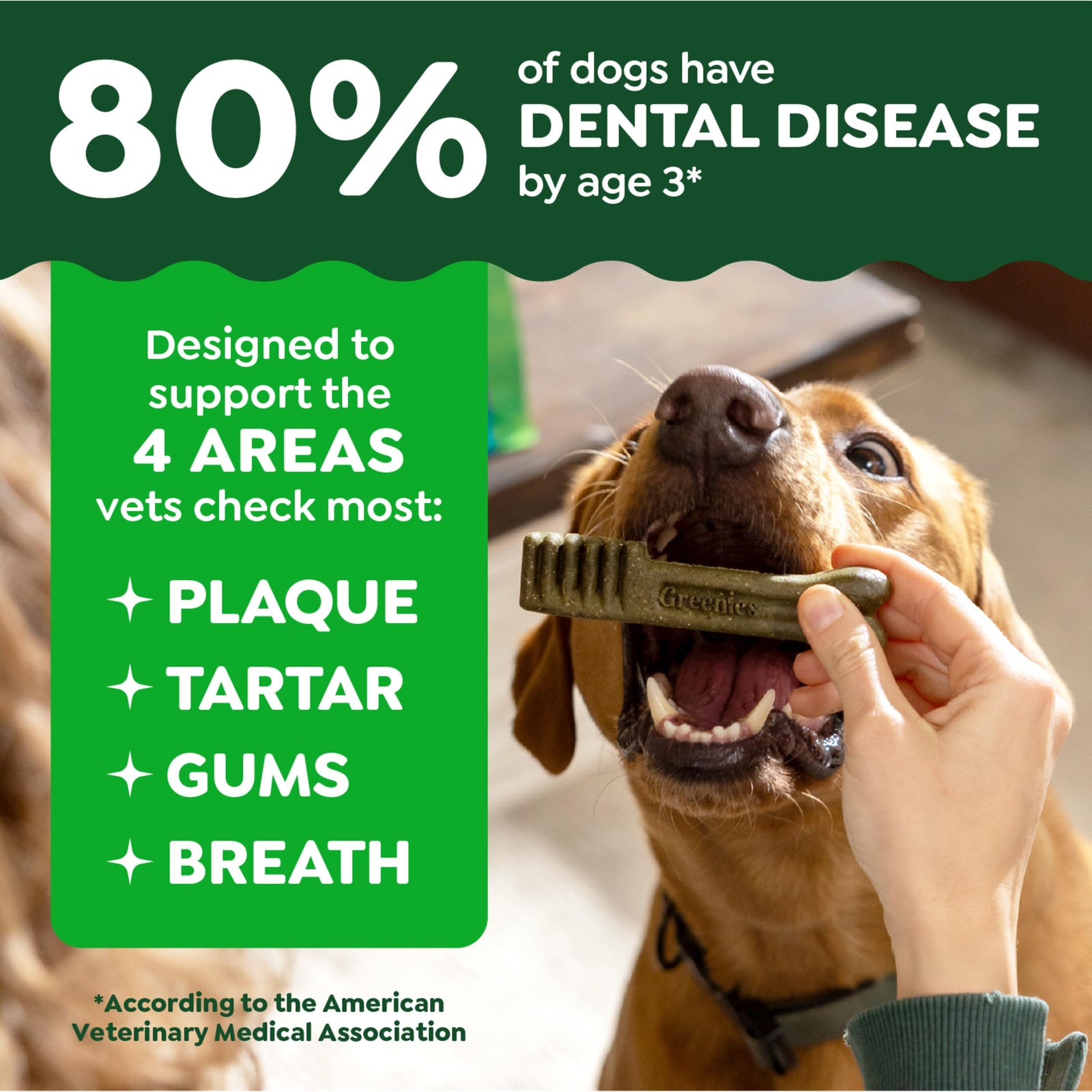 Greenies Veterinarian-Recommended Natural Dental Dog Treats Regular Size, Original Flavor, 12 oz. Pack, 43 Count