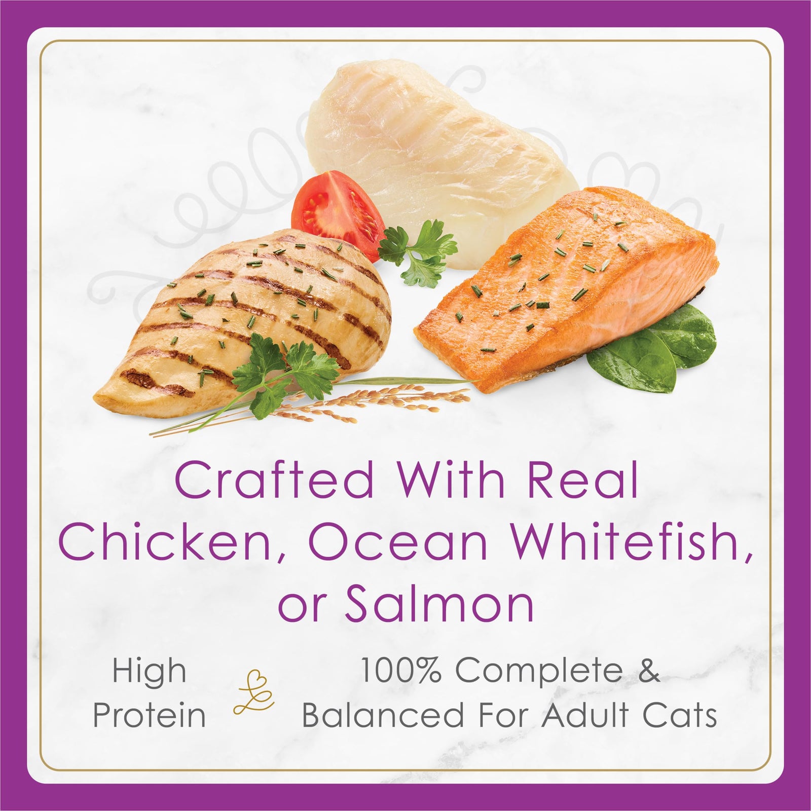 Purina Fancy Feast Gravy Lovers Poultry and Beef Grilled Gourmet Wet Cat Food Variety Pack - (Pack of 24) 3 oz. Cans