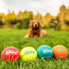 Outward Hound Squeaker Ballz 4-Pack Tennis Ball Dog Toys with Squeaker, Interactive Fetch Play for Pets Under 25 lbs, Training Balls for Indoor & Outdoor Exercise, Small, 2-inch