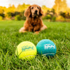 Outward Hound Squeaker Ballz 4-Pack Tennis Ball Dog Toys with Squeaker, Interactive Fetch Play for Pets Under 25 lbs, Training Balls for Indoor & Outdoor Exercise, Small, 2-inch